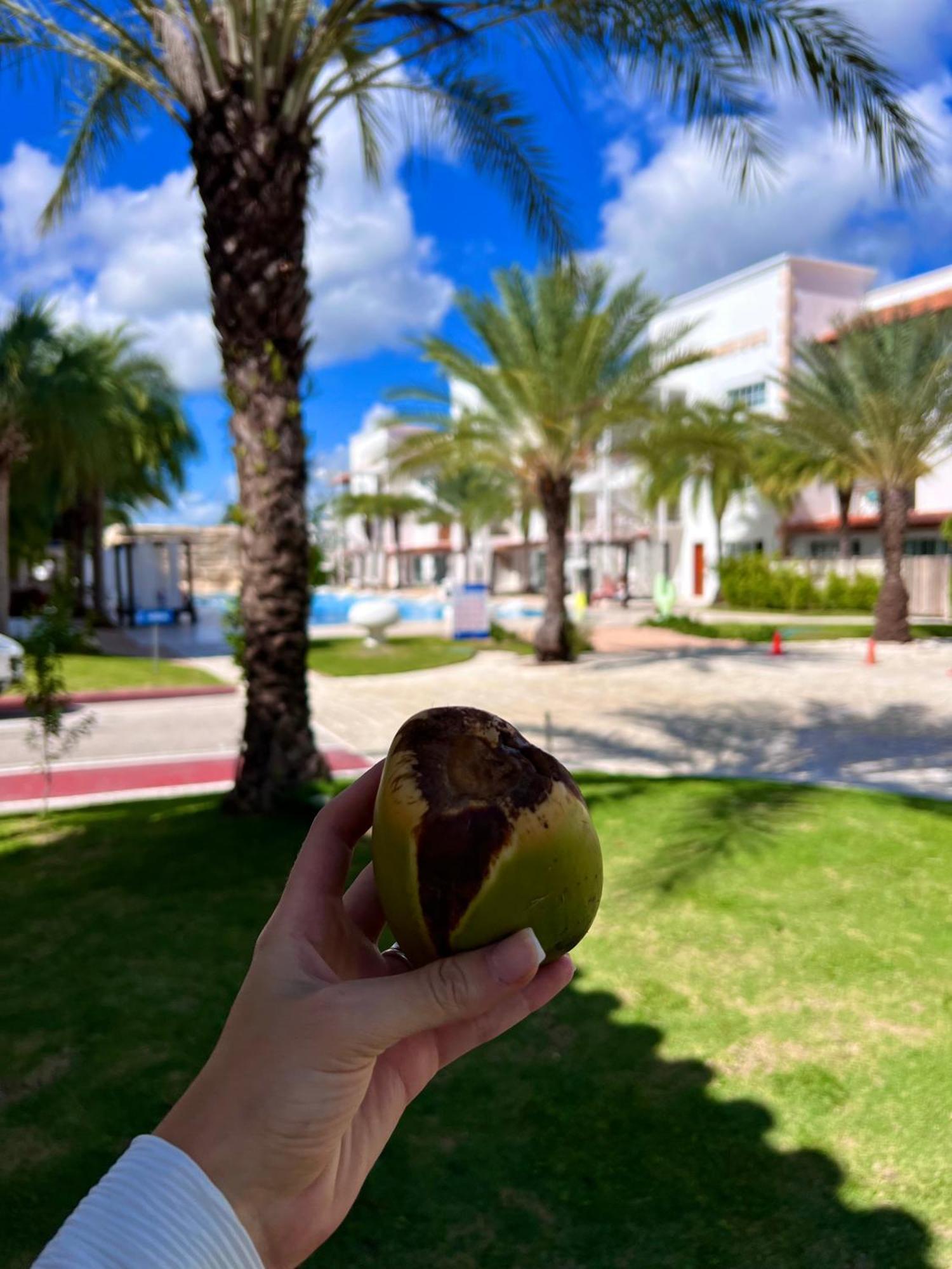 Tanama Hotel Punta Cana Esterno foto